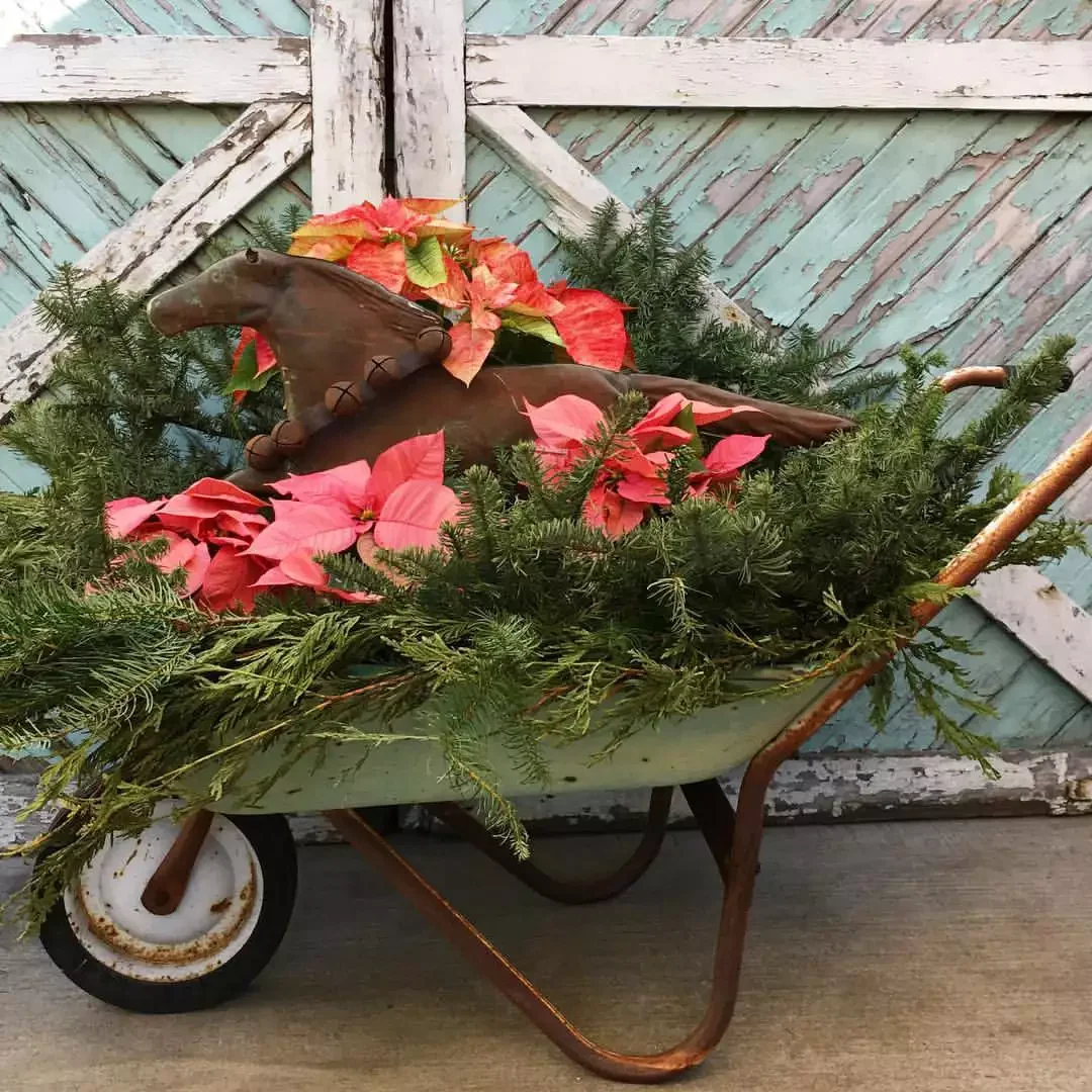 A Wheelbarrow Full