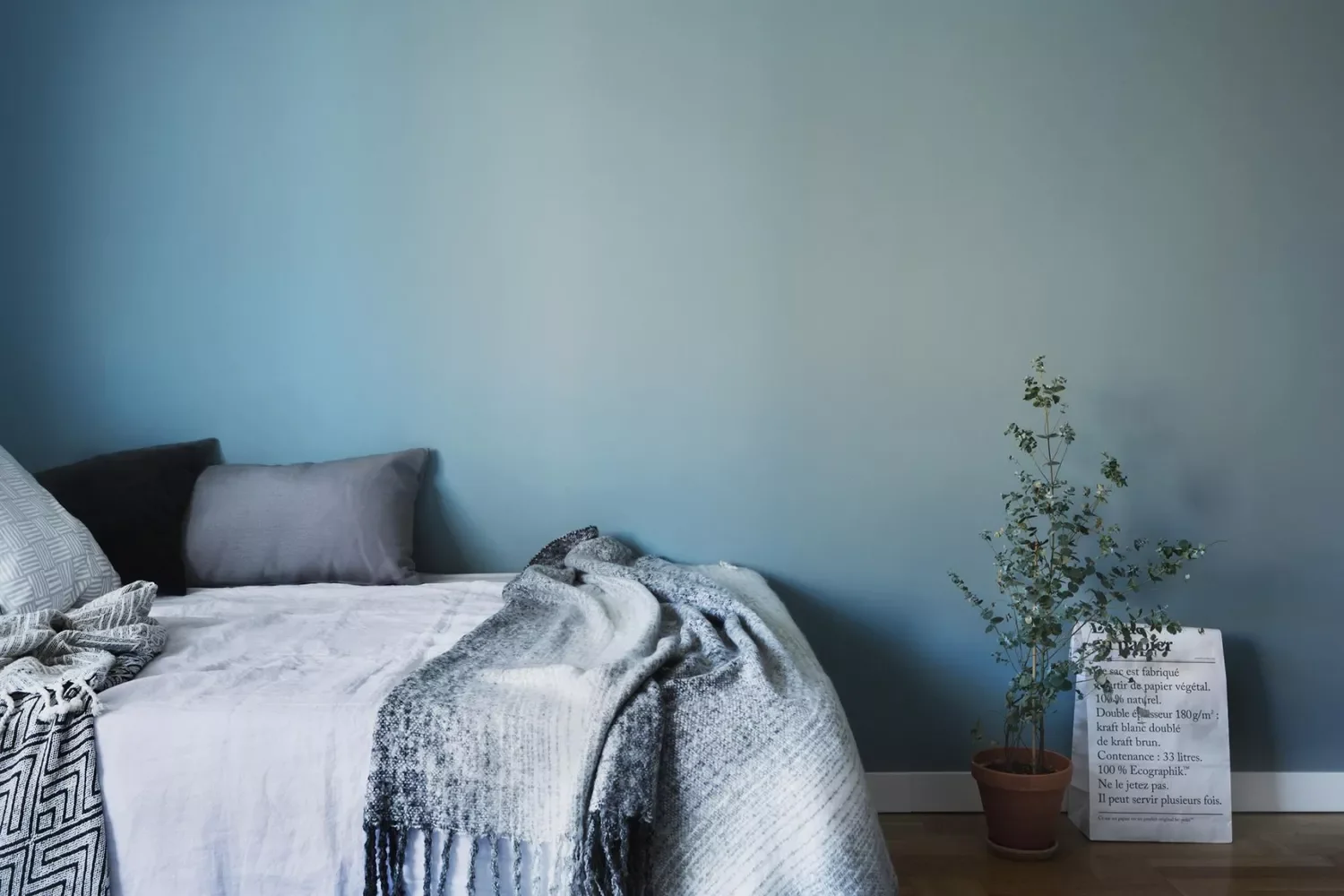 Accent Blue Walls With Gray