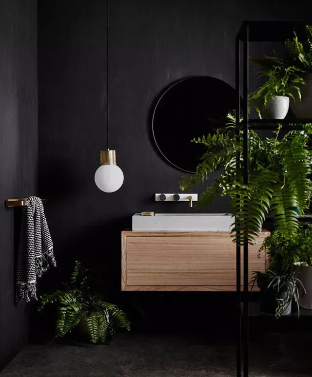 Accent With Plants