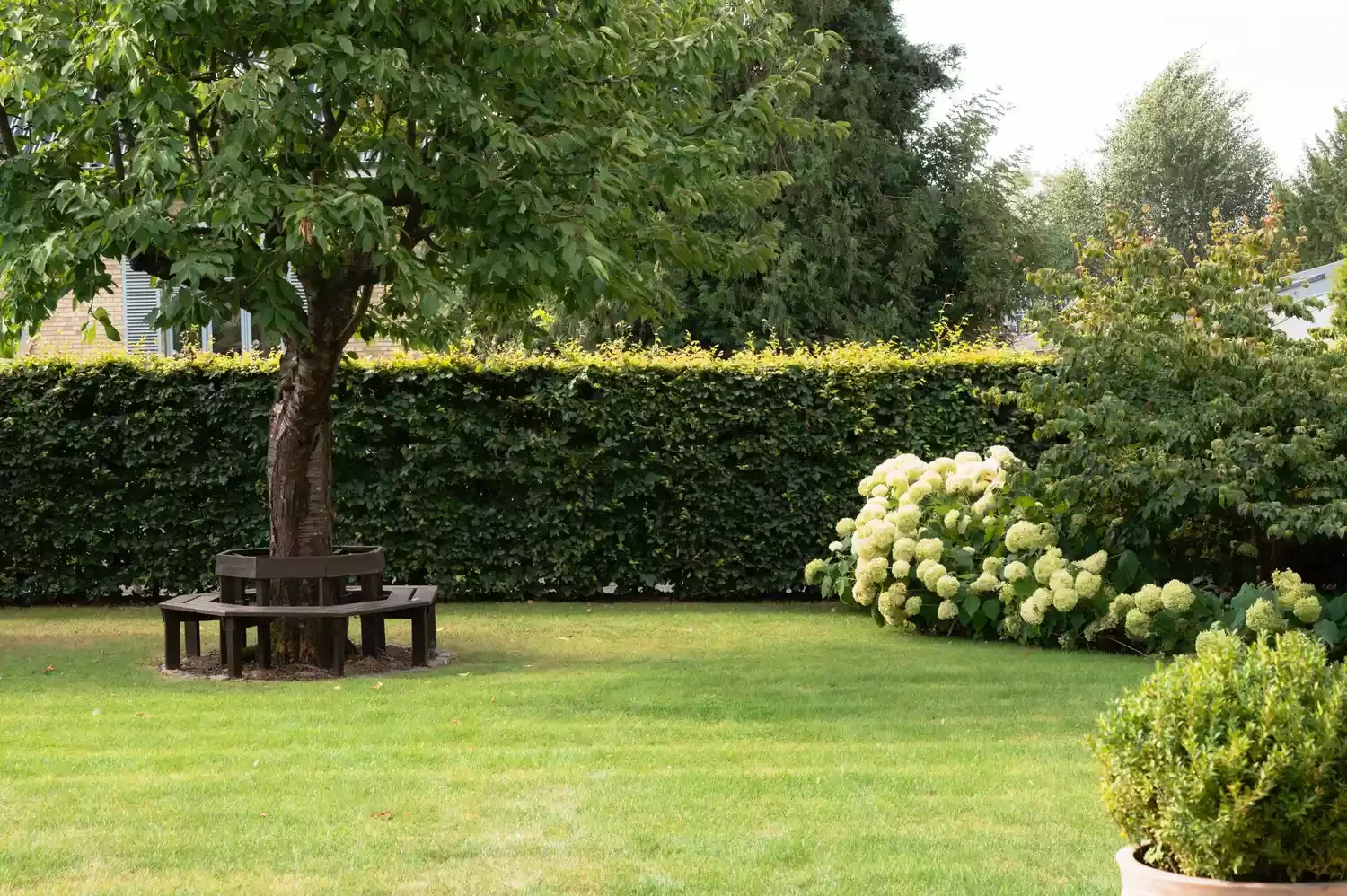 Add a Tree Bench
