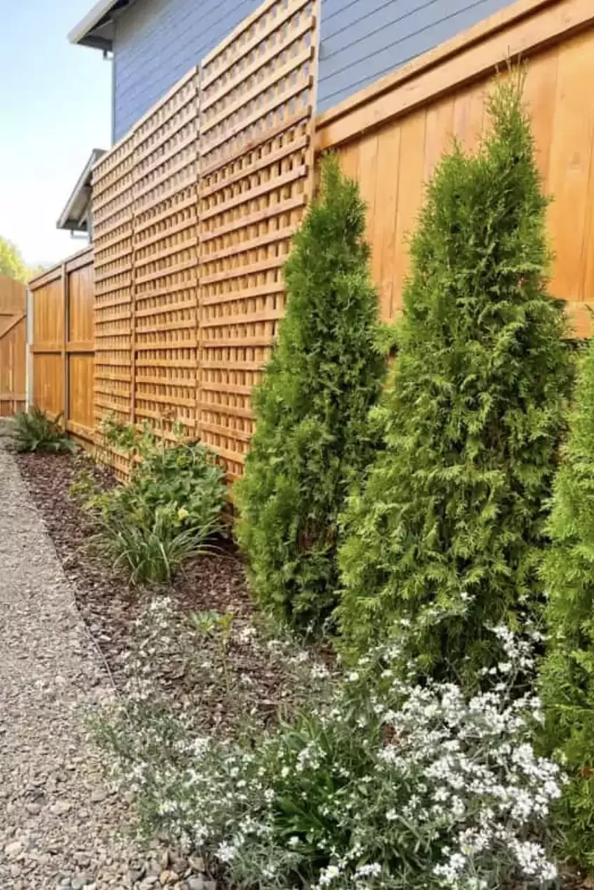 Add a Trellis to the Fence