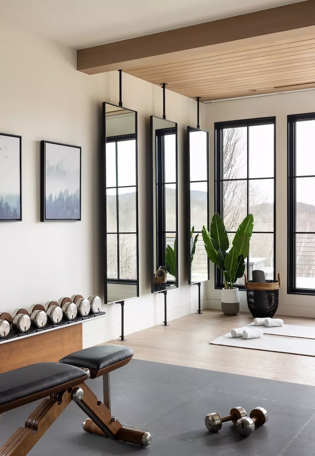 Airy Home Gym