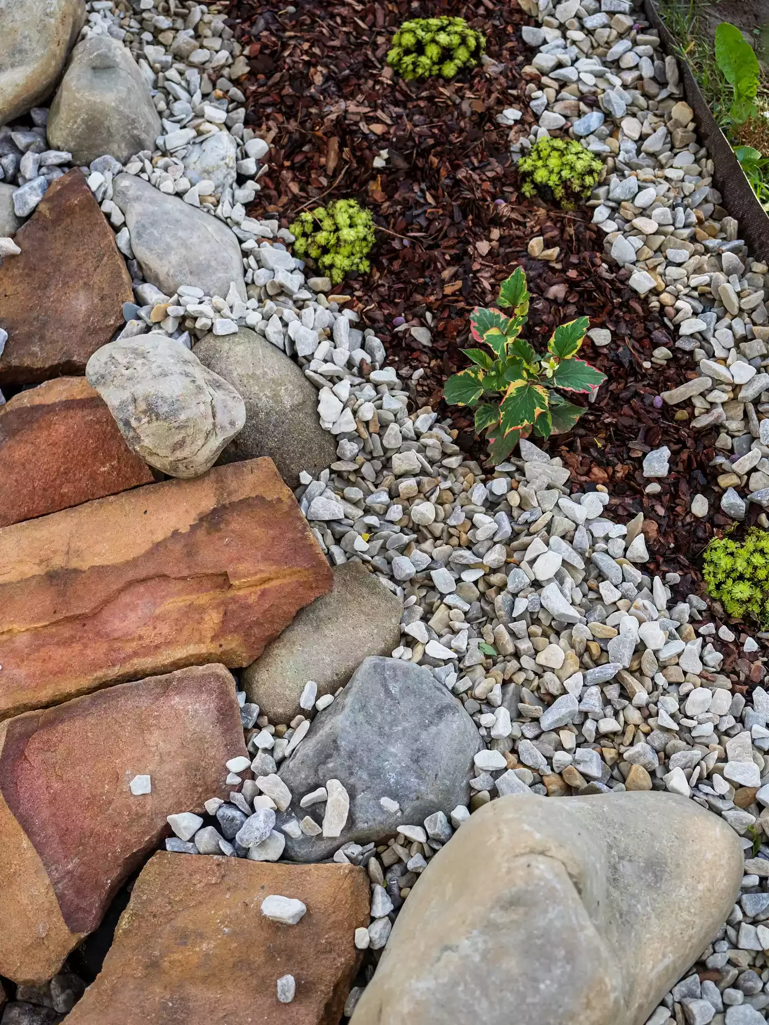 Alternating Rocks and Mulch