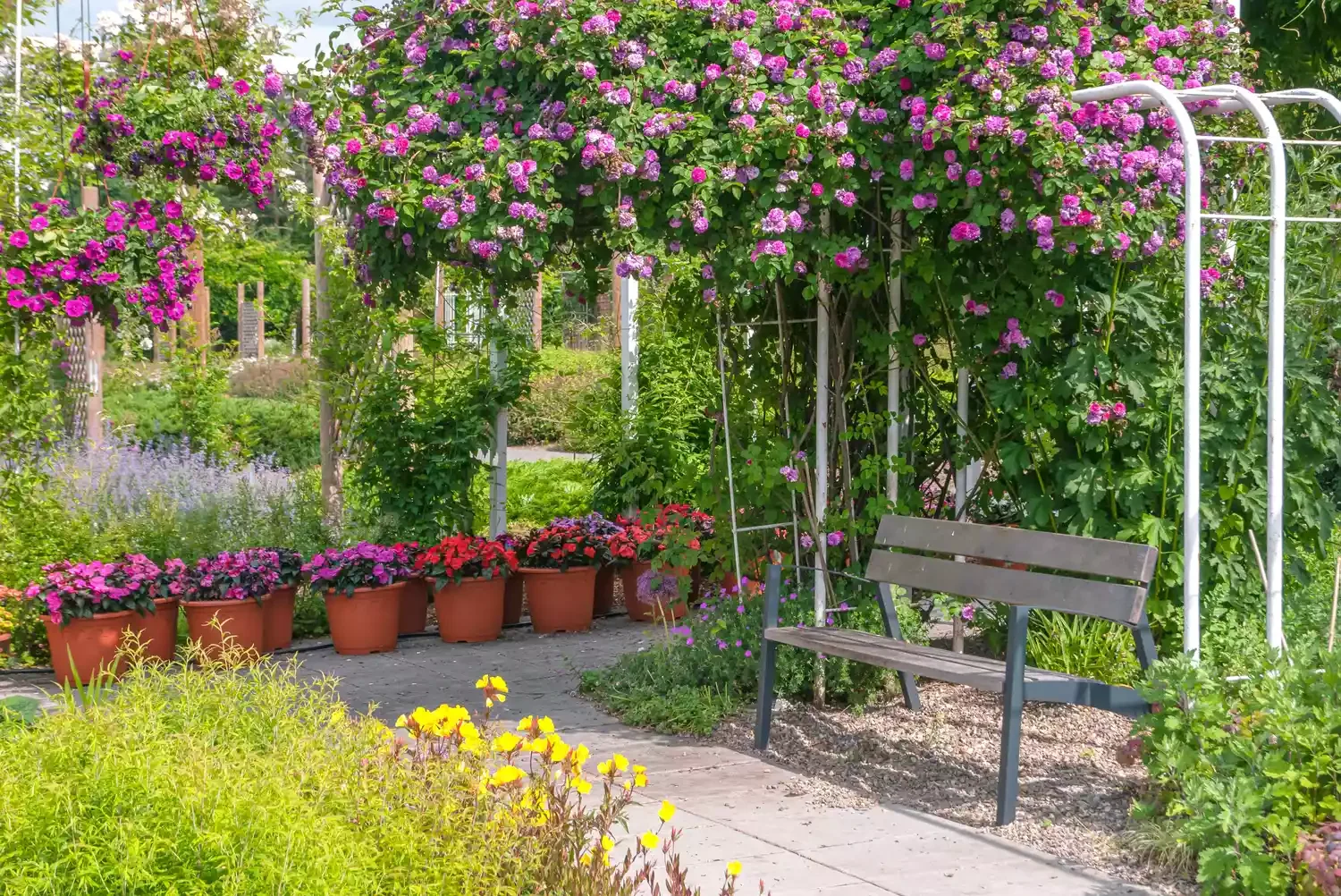Bench and Arbor