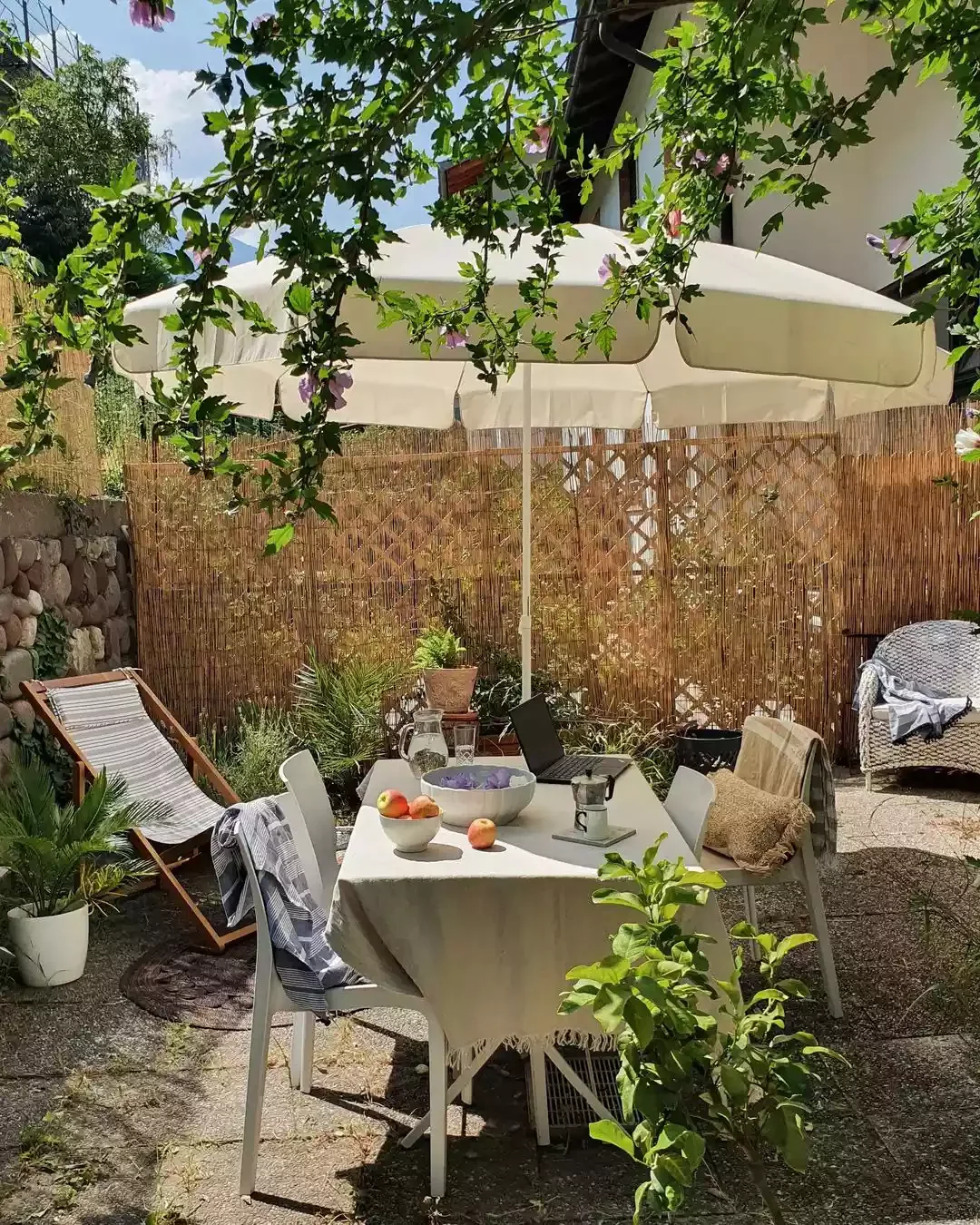 Bring in Bamboo Fencing