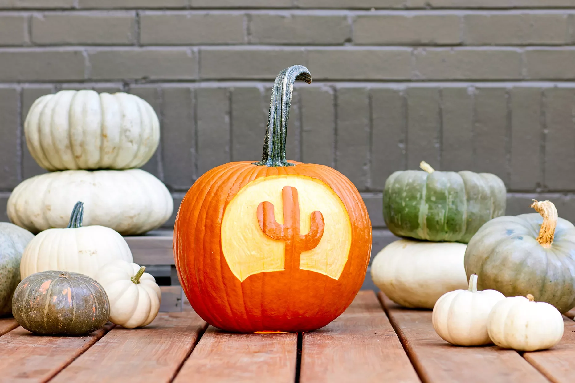 Cactus Pumpkin