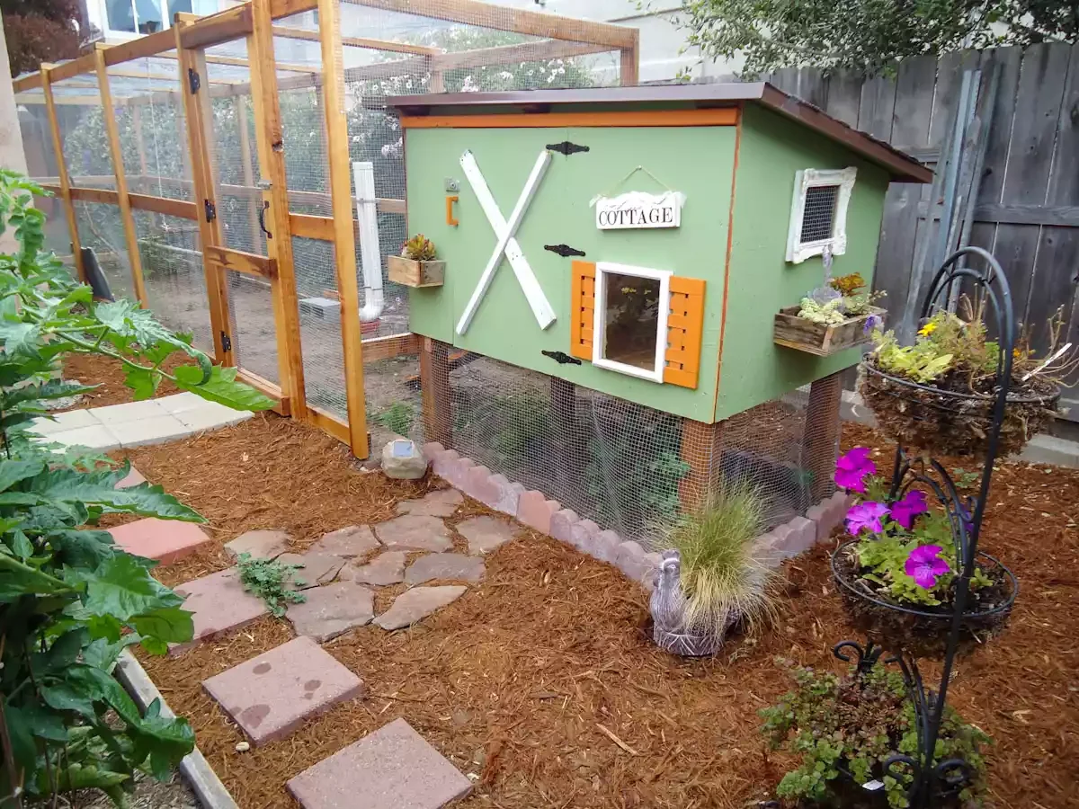 Chicken Coop Corner