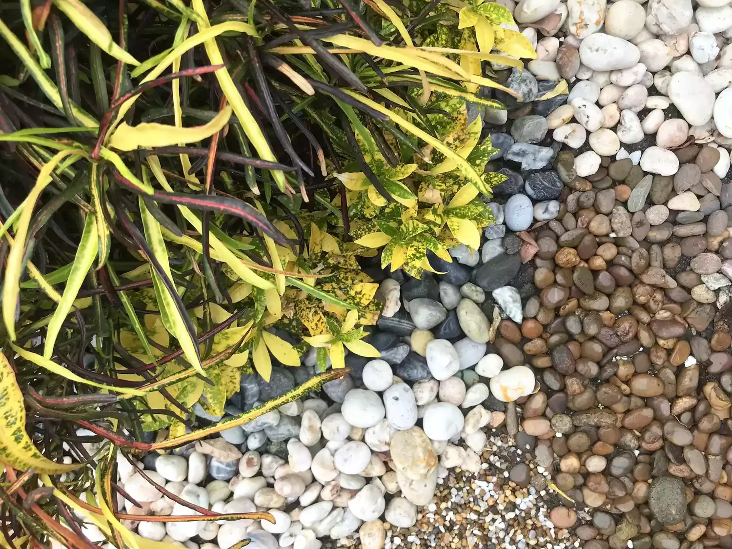 Colorful River Rock Garden