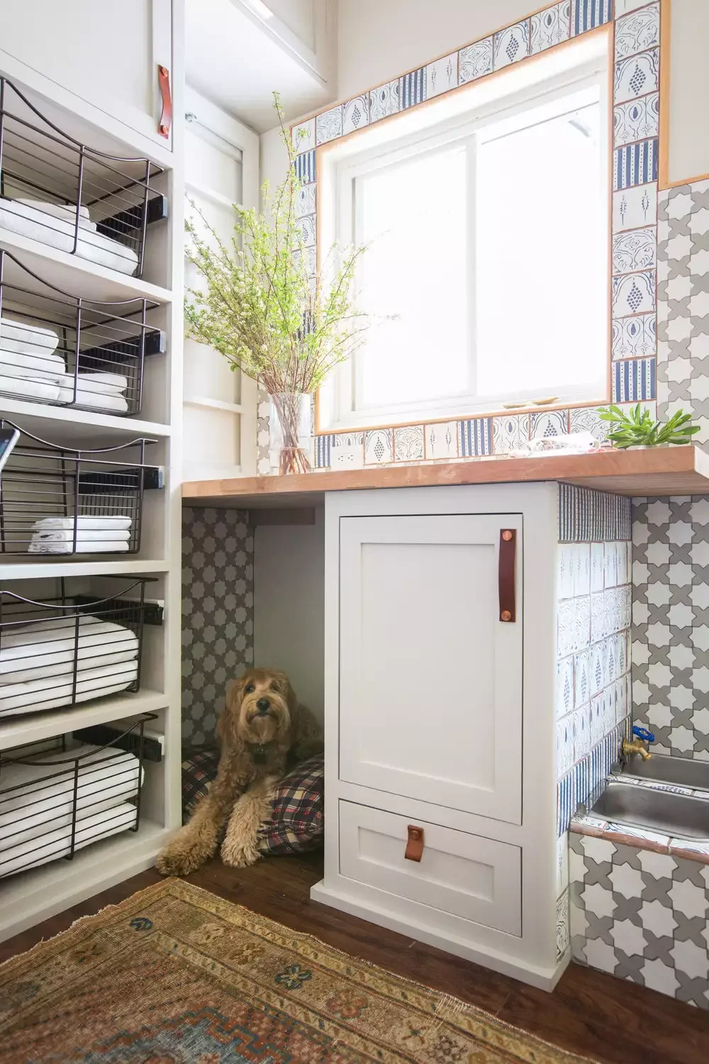 Corner Dog Niche