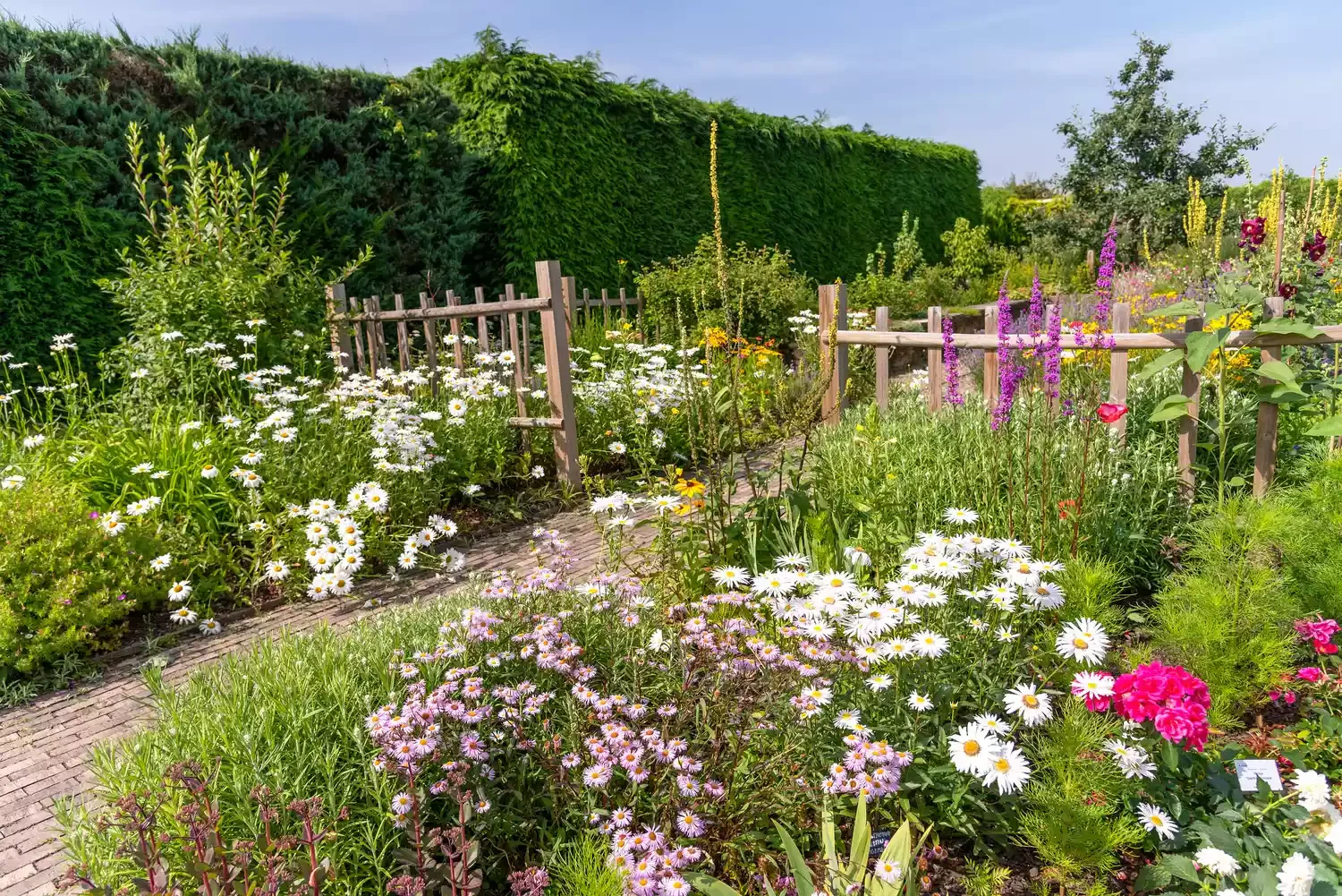 Cottage-Style Flower Garden