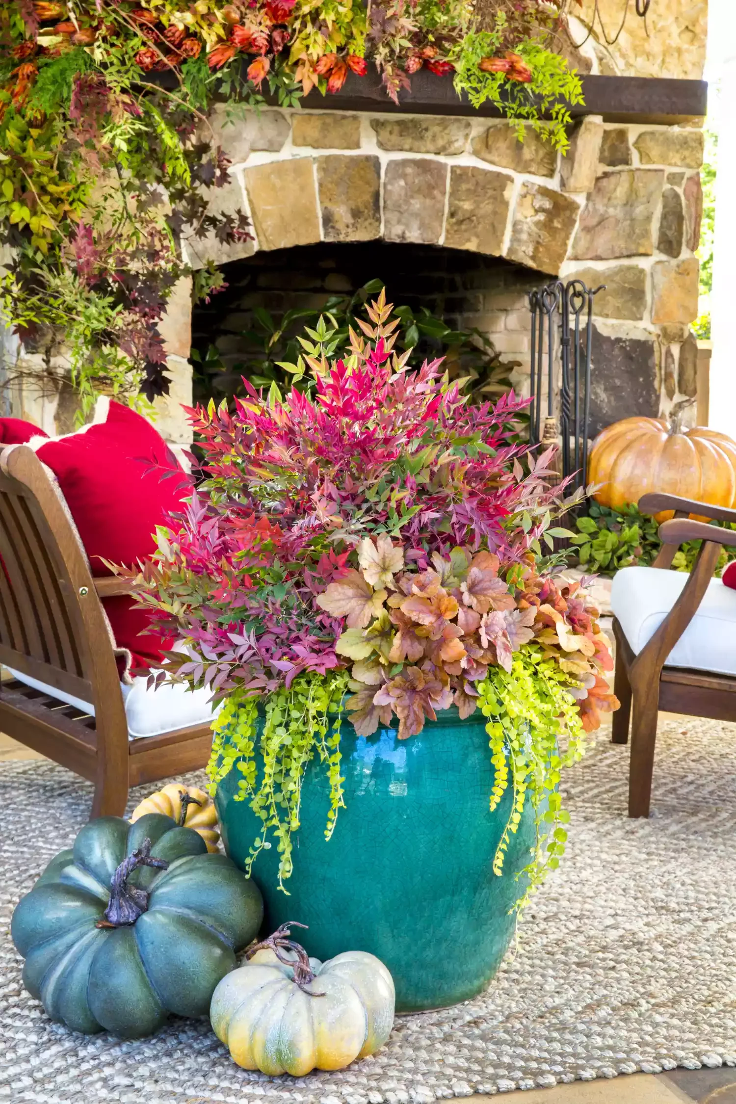 Create a Colorful Container Garden