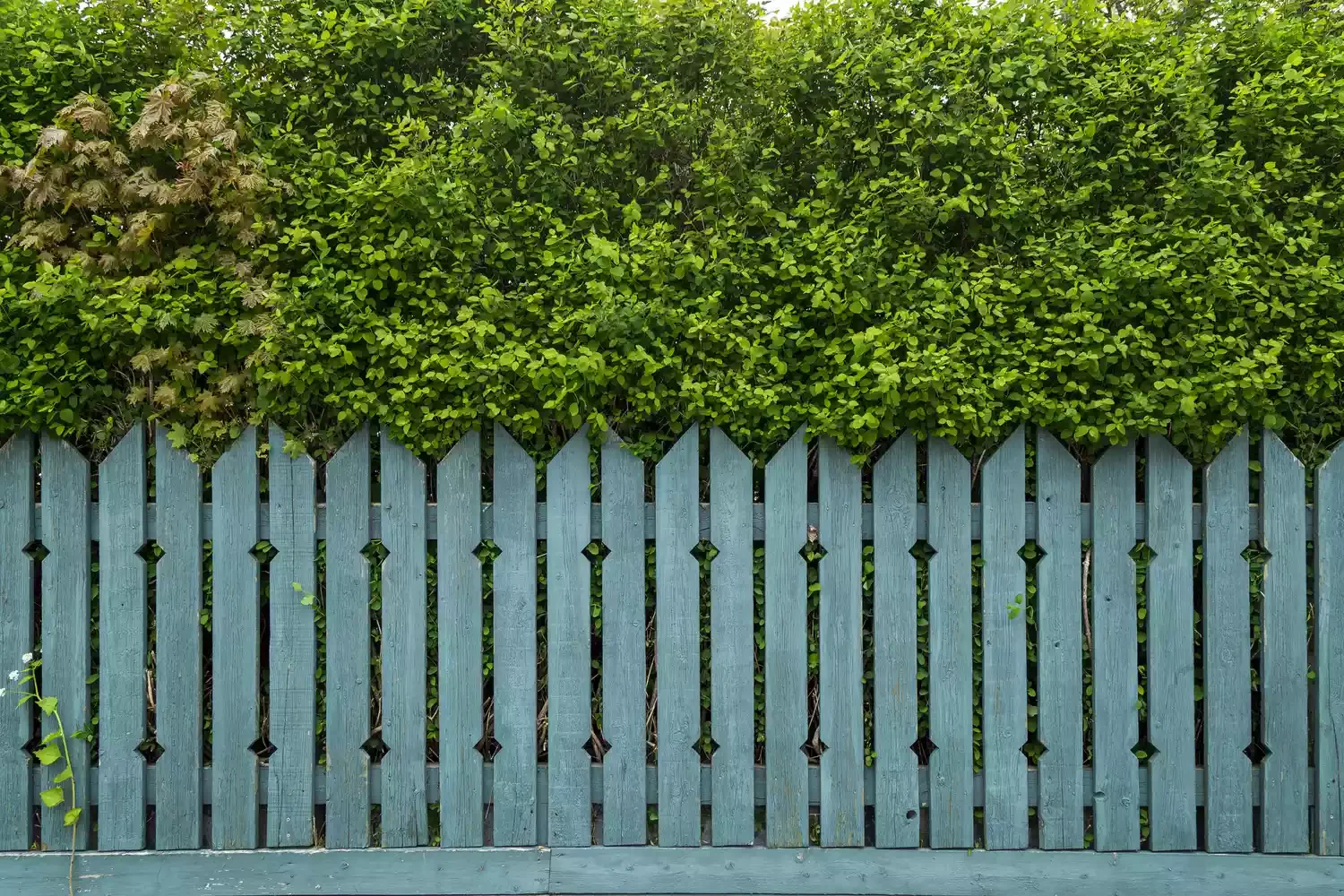 Create a Colorful Wood Fence