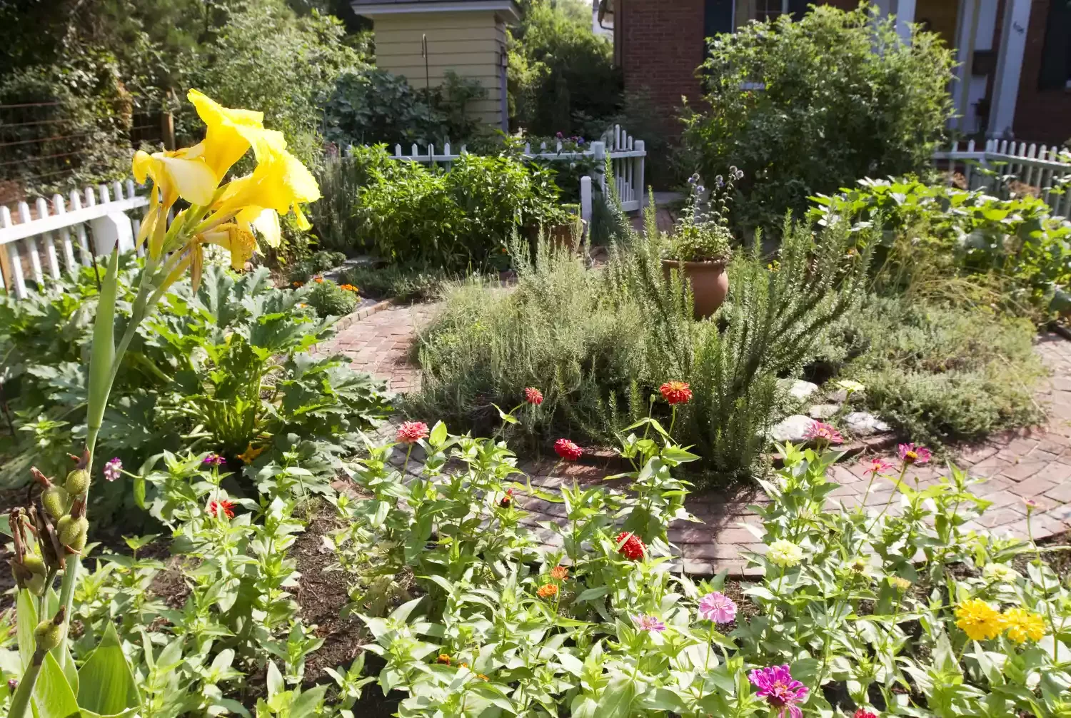Create a Cottage-Style Herb Garden