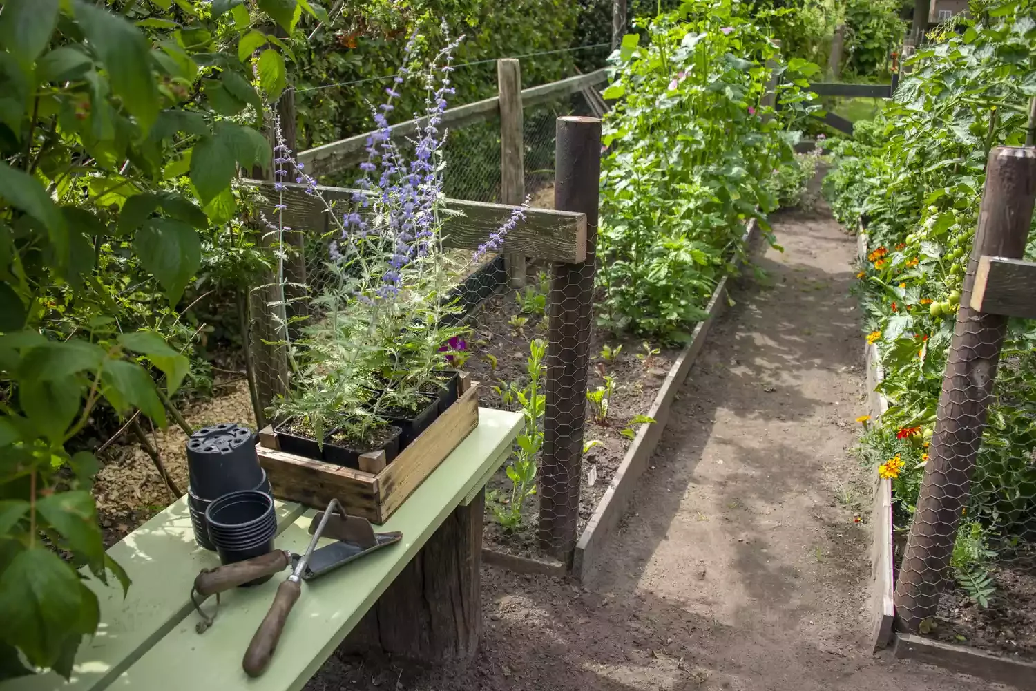 Create an Enclosure With Scrap Wood