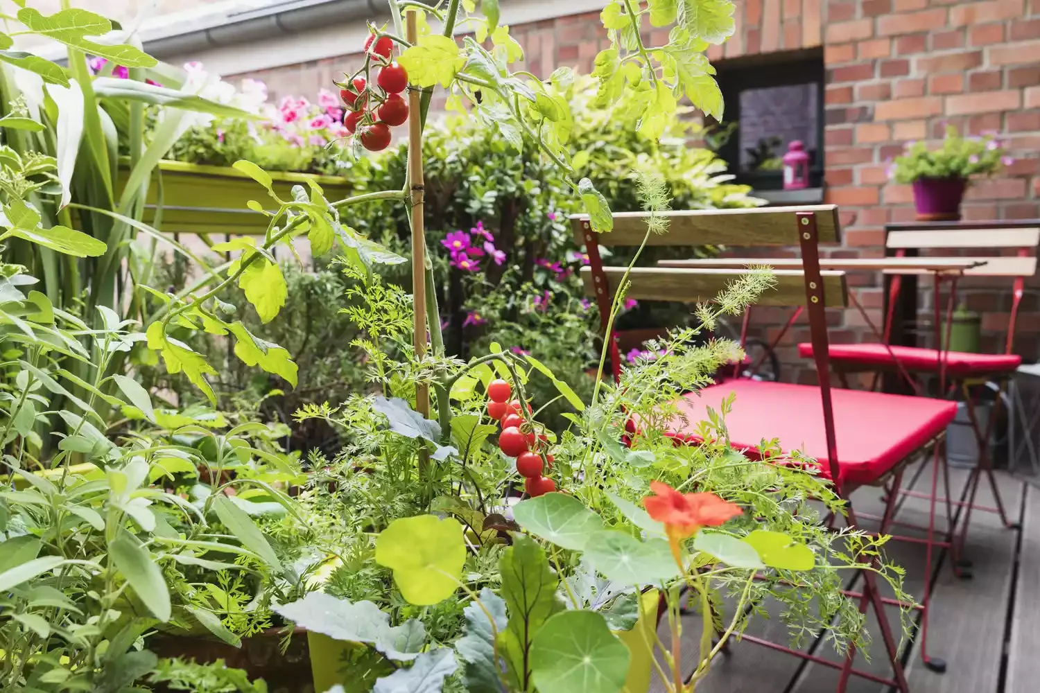 Curate a Cute Balcony Garden