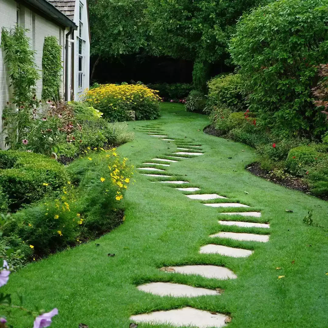 Curved Lines