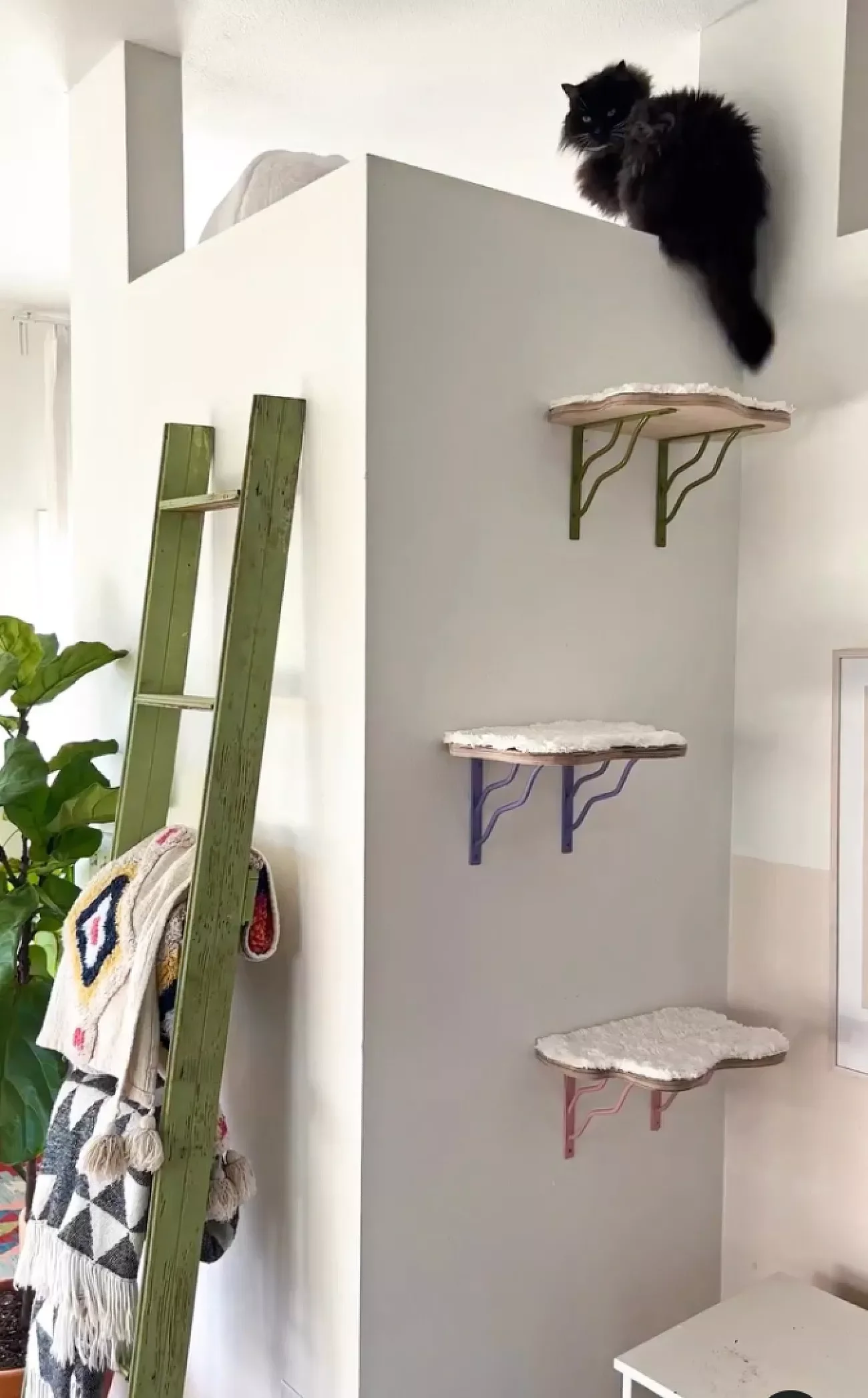 DIY Some Shelves