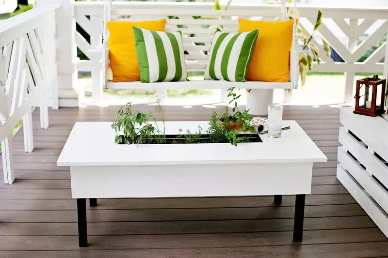 DIY a Budget Herb Garden