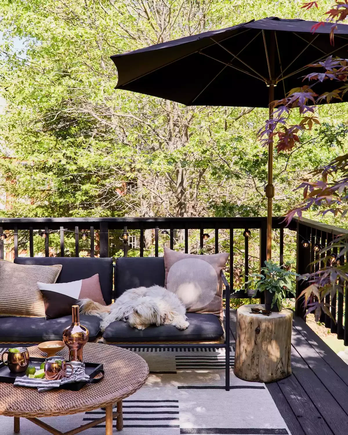 Deck With Standing Umbrella
