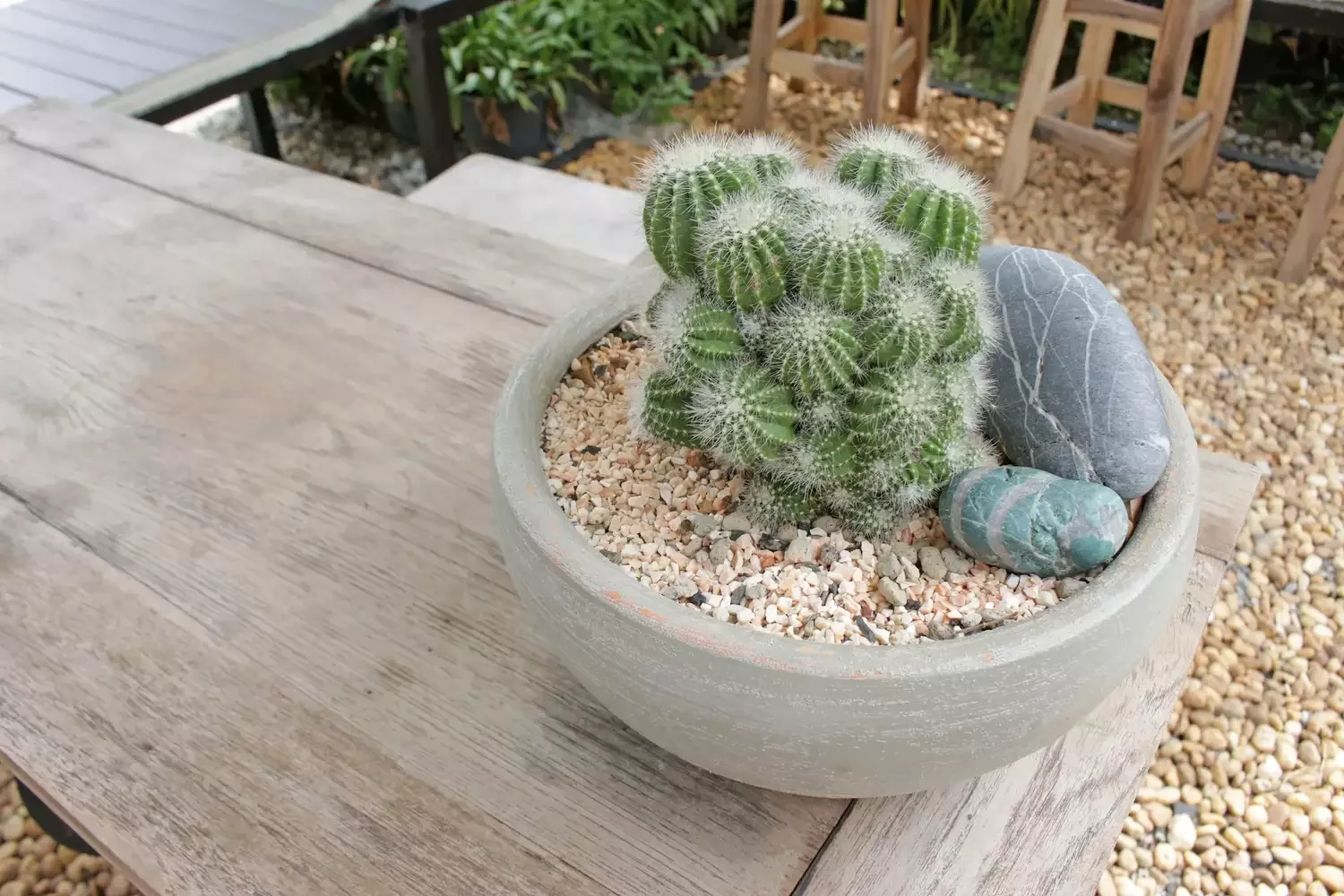 Decorative Planter Accents