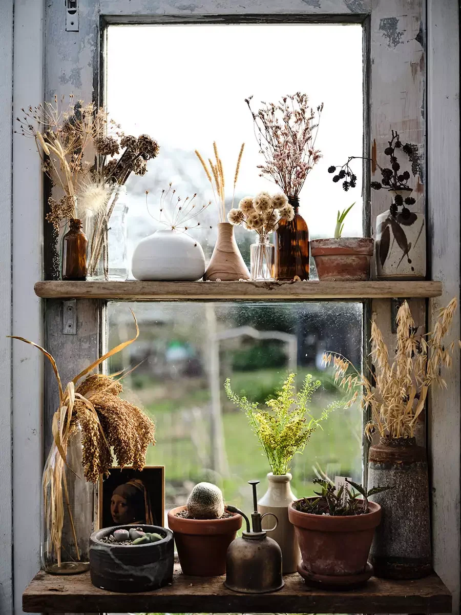 Display Preserved Flowers