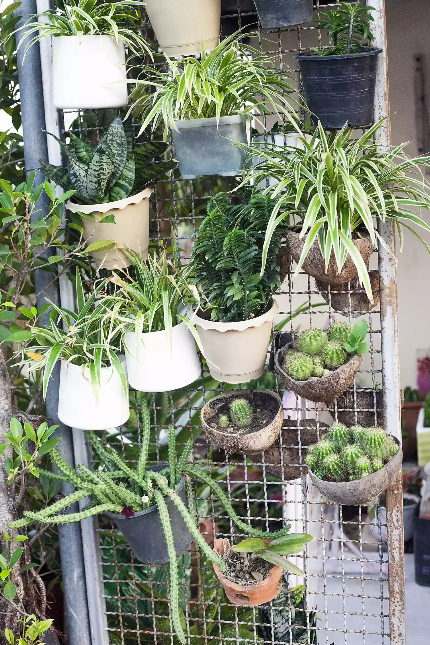 Display Your Container Garden