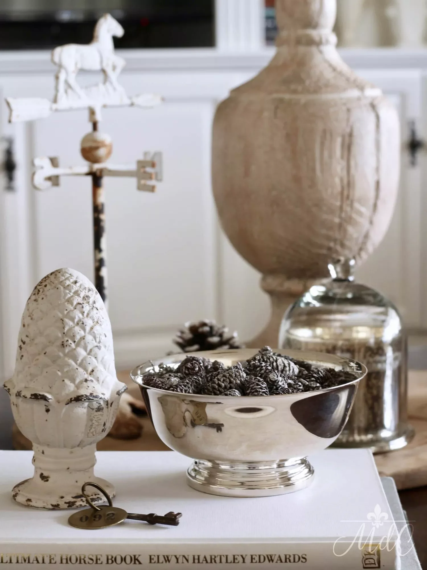 Display a Bowl of Pine Cones