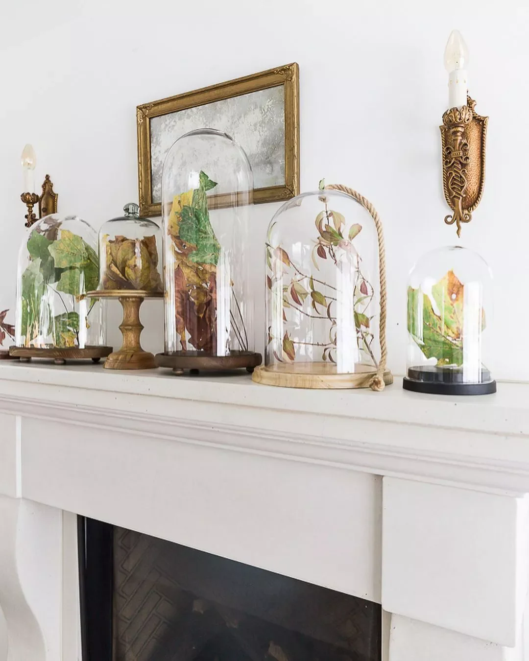 Display in Cloches