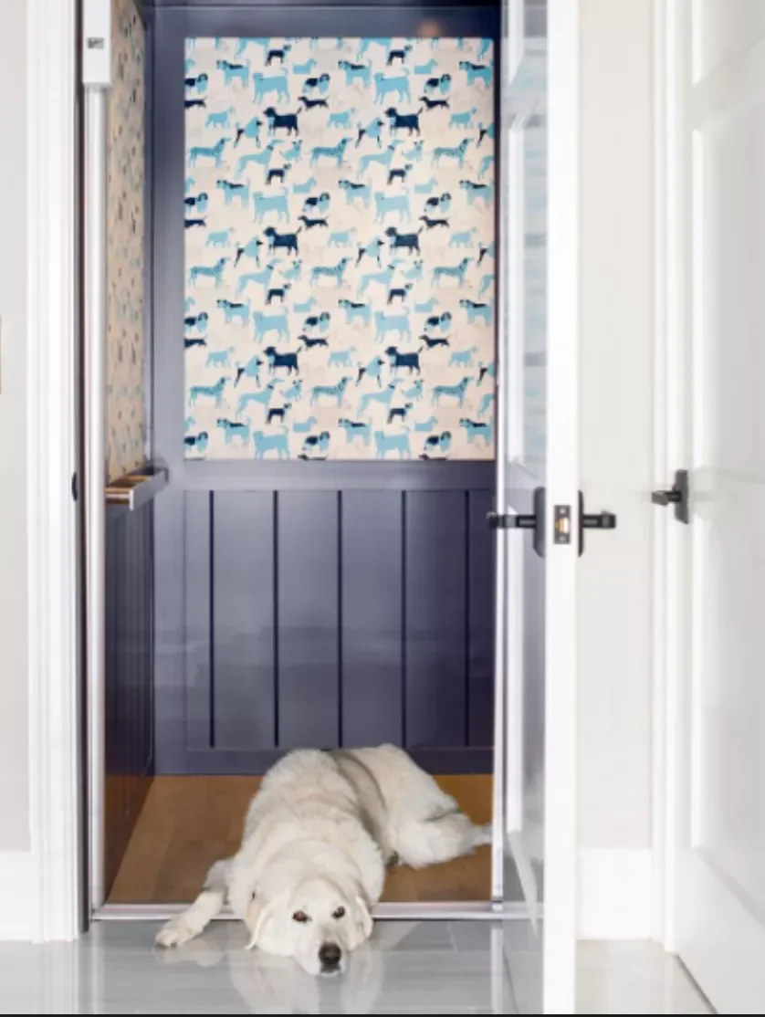 Dog Elevator