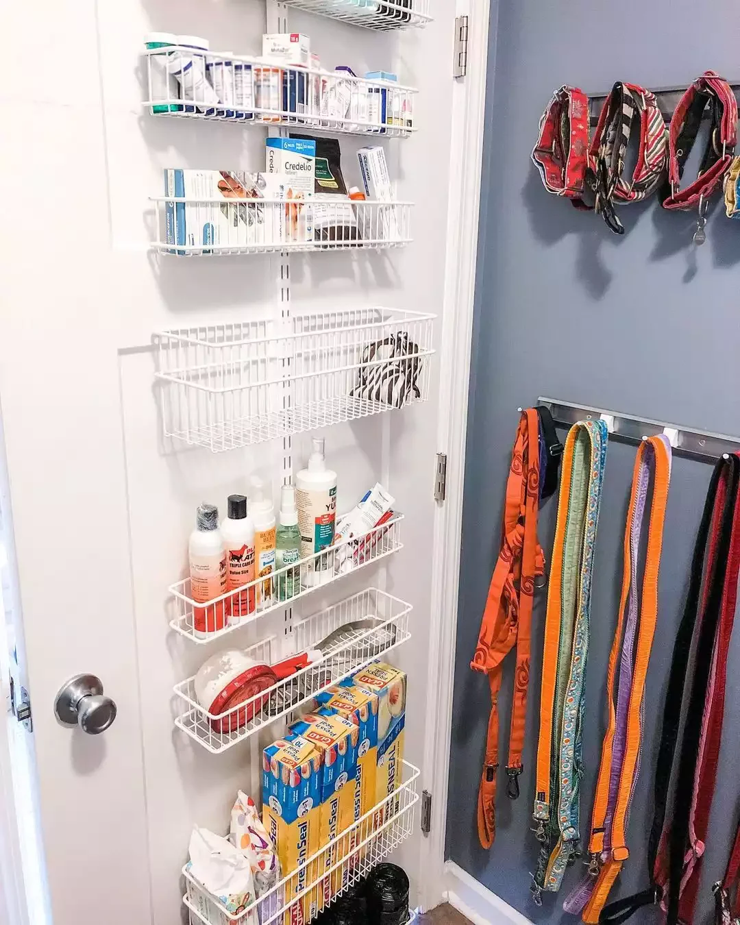 Dog Essentials Area