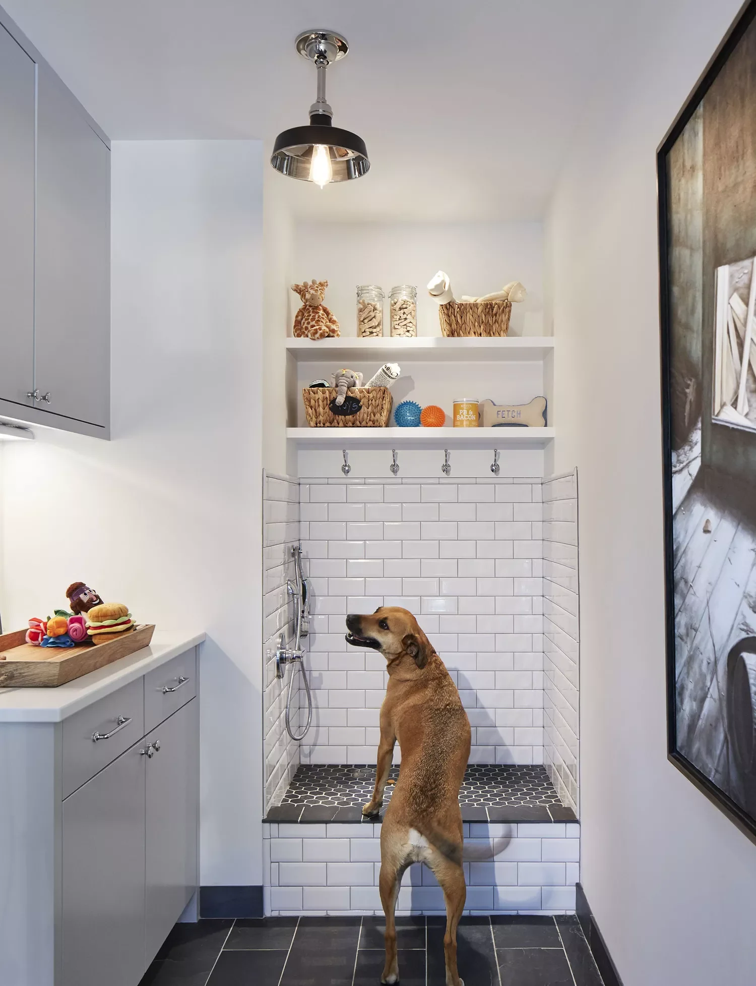 Dog Food Storage