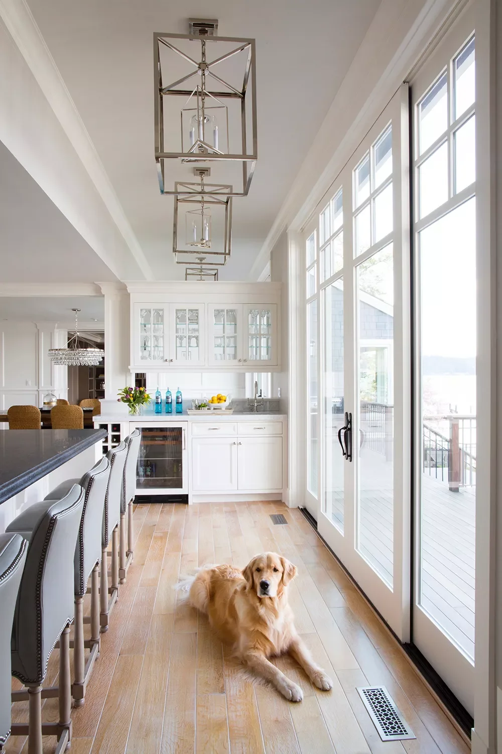 Dog-Friendly Flooring