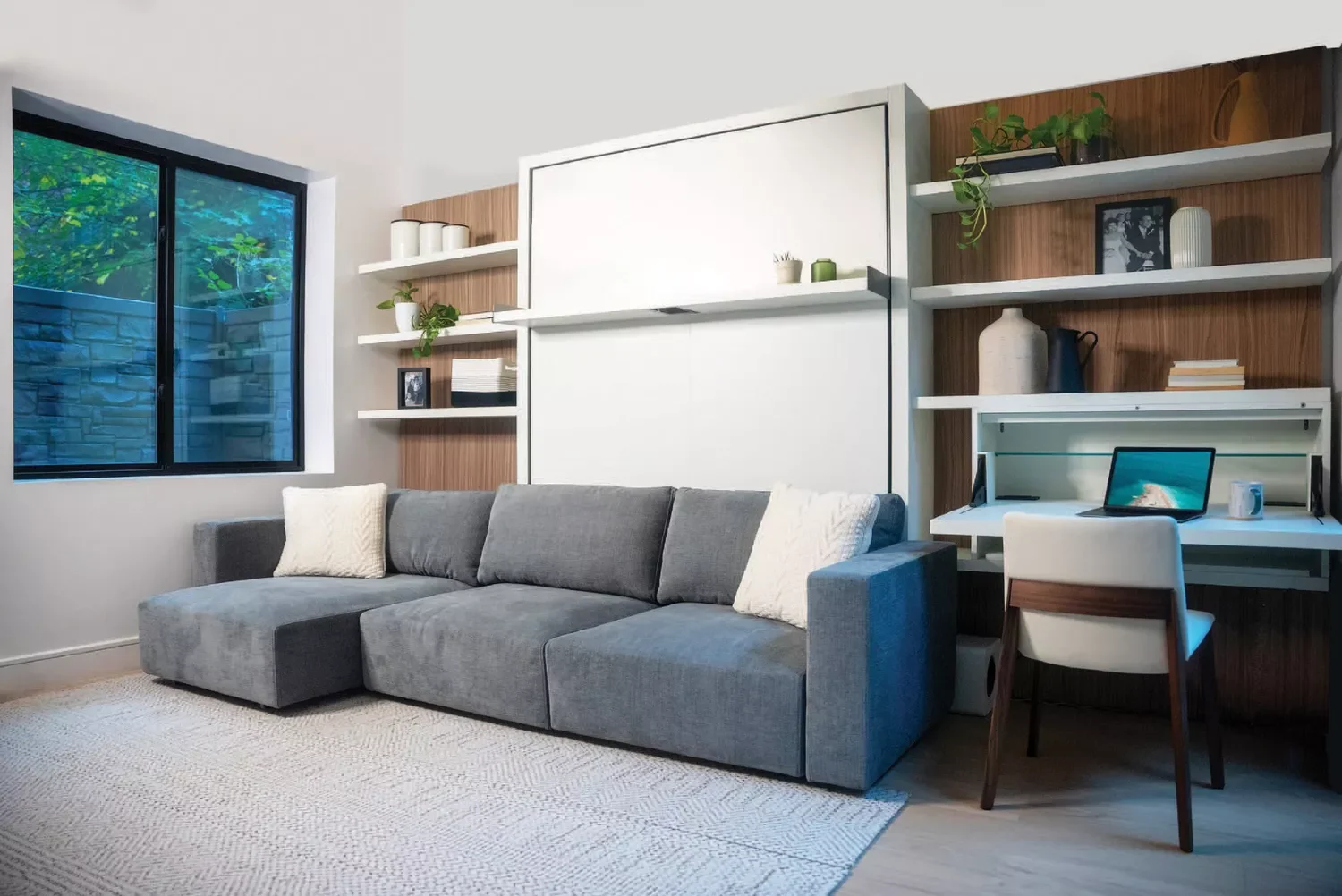 Family Room Murphy Bed