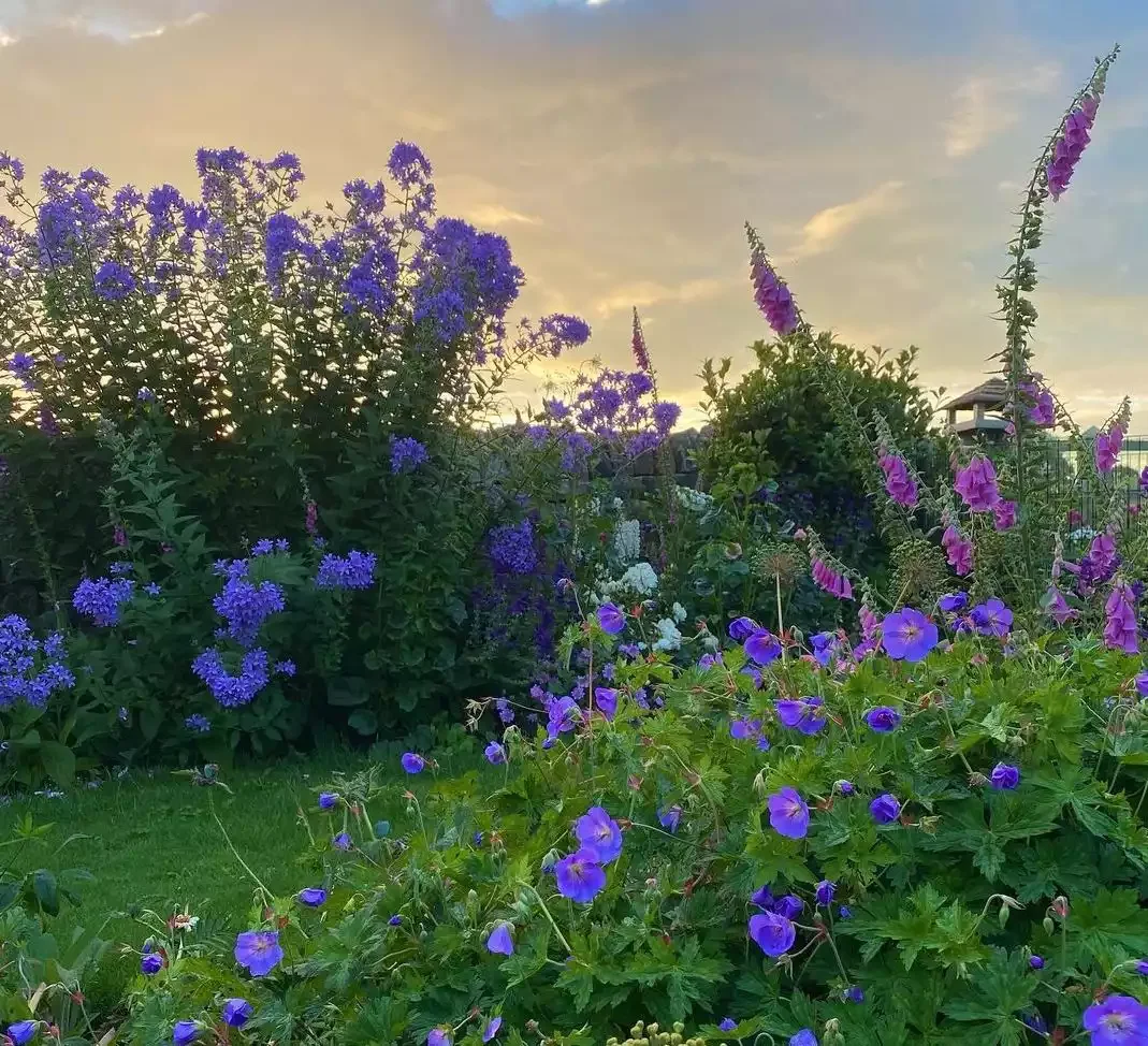 Flower Edging
