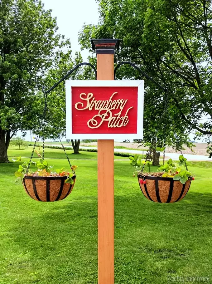 Free-Standing Strawberry Garden