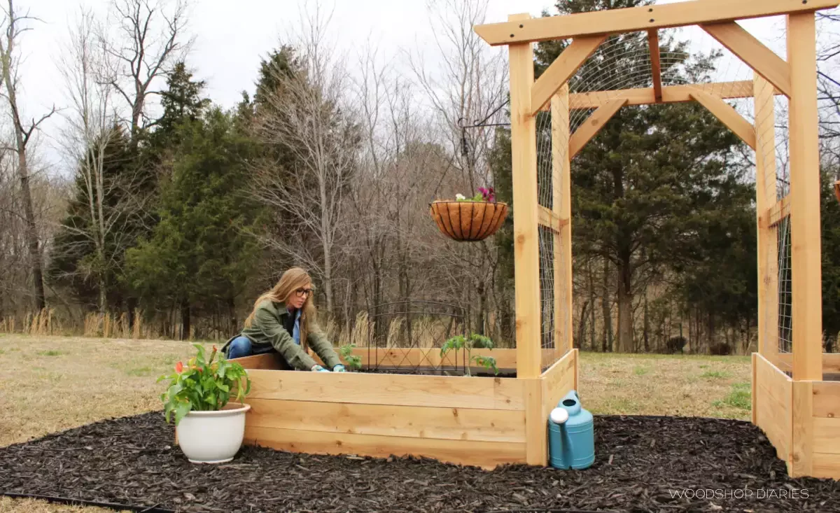 Garden Beds with Arch