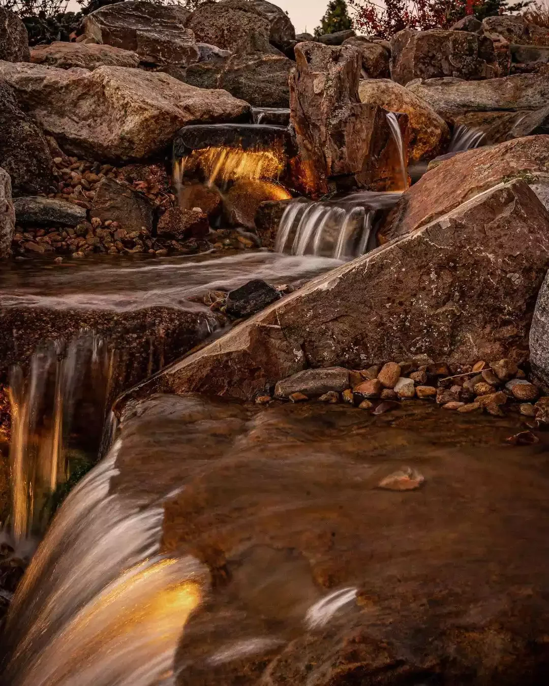 Golden Light