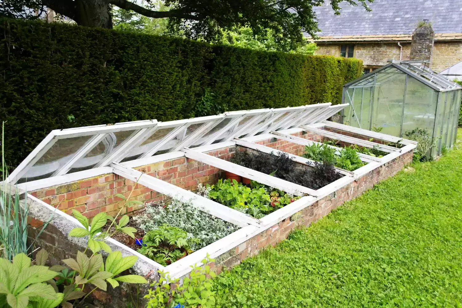 Grow Cold Hardy Crops