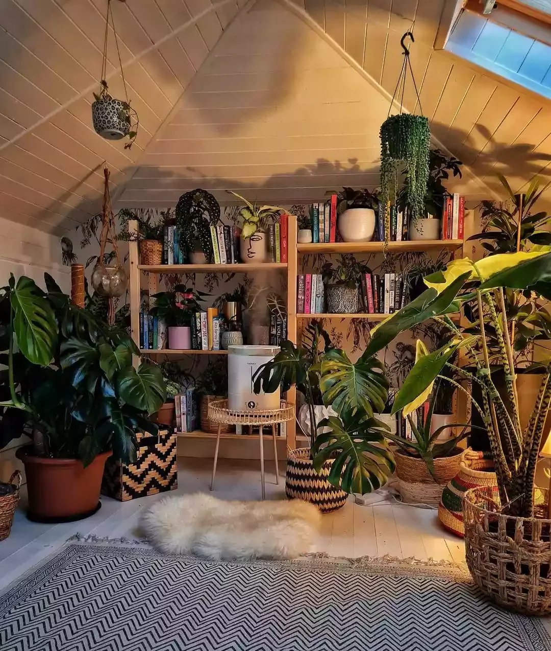 Hang Plants