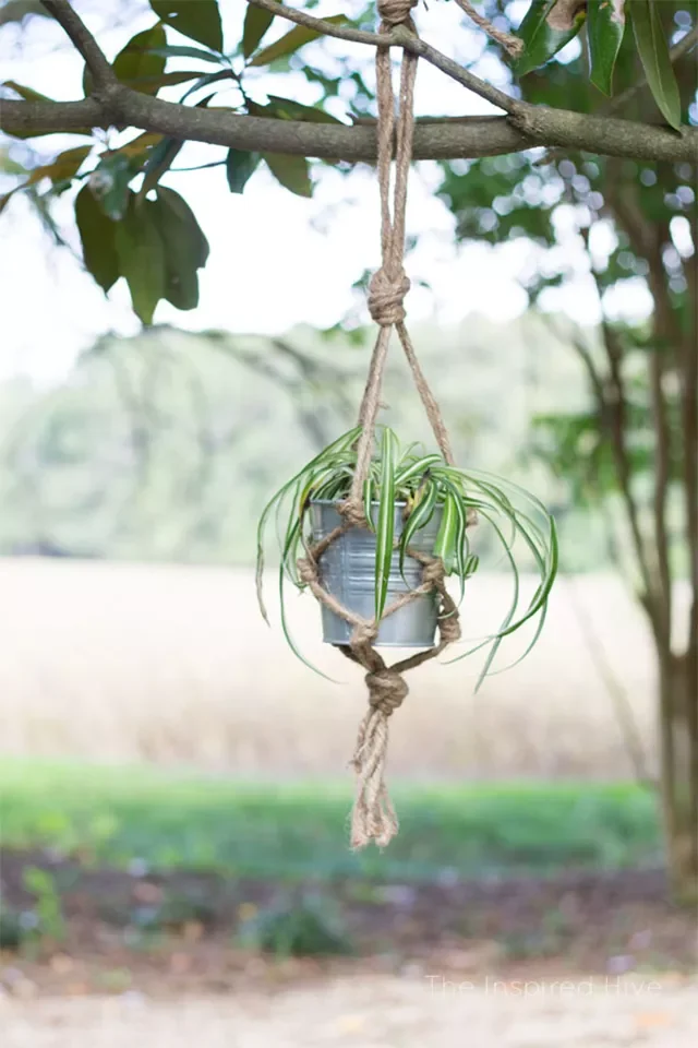 Hang a Macramé Planter