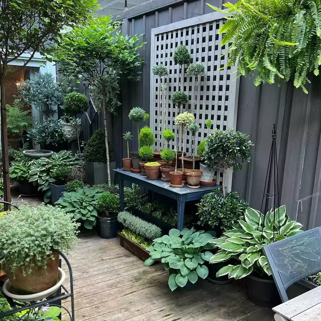 Hang a Trellis