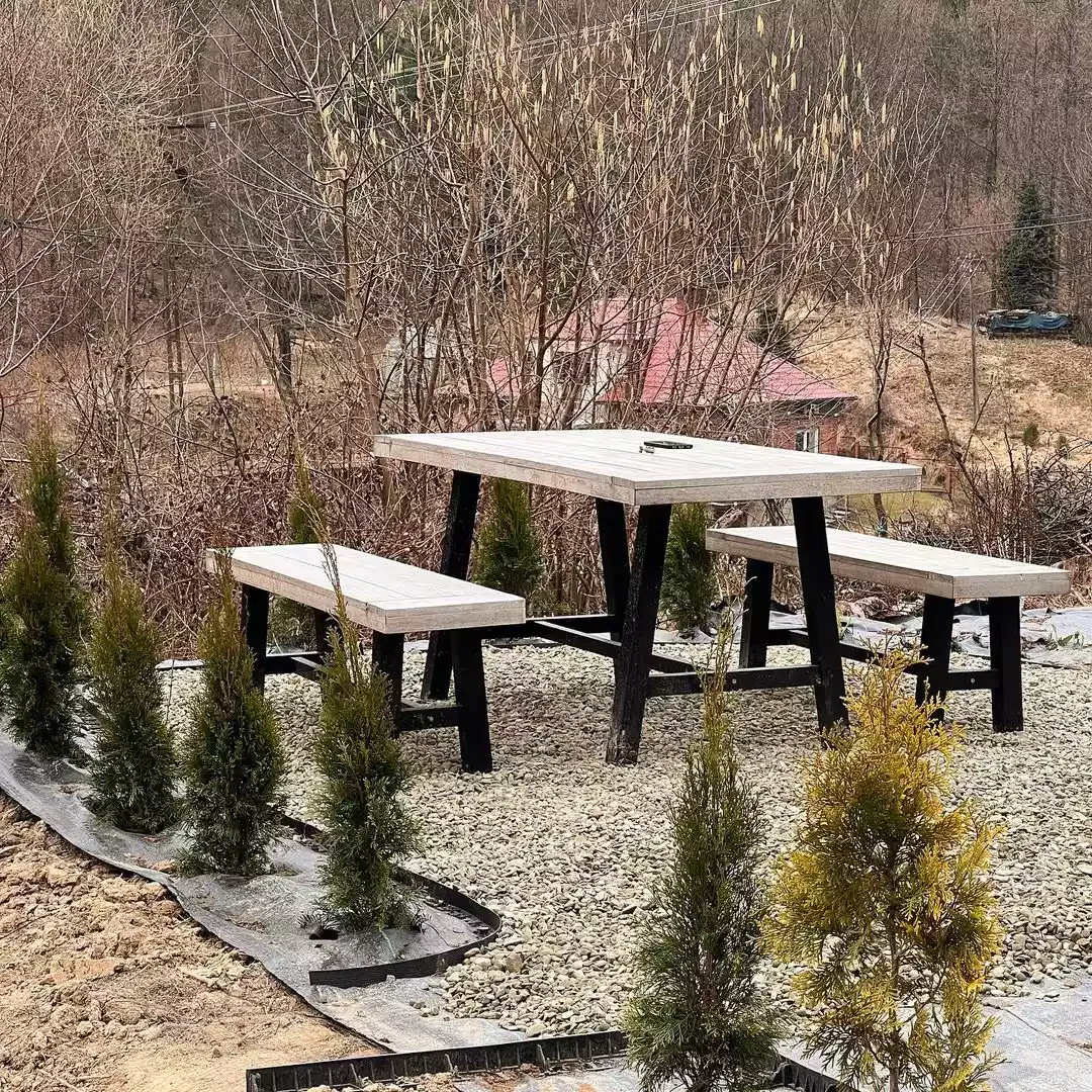 Have a Picnic in Your Backyard
