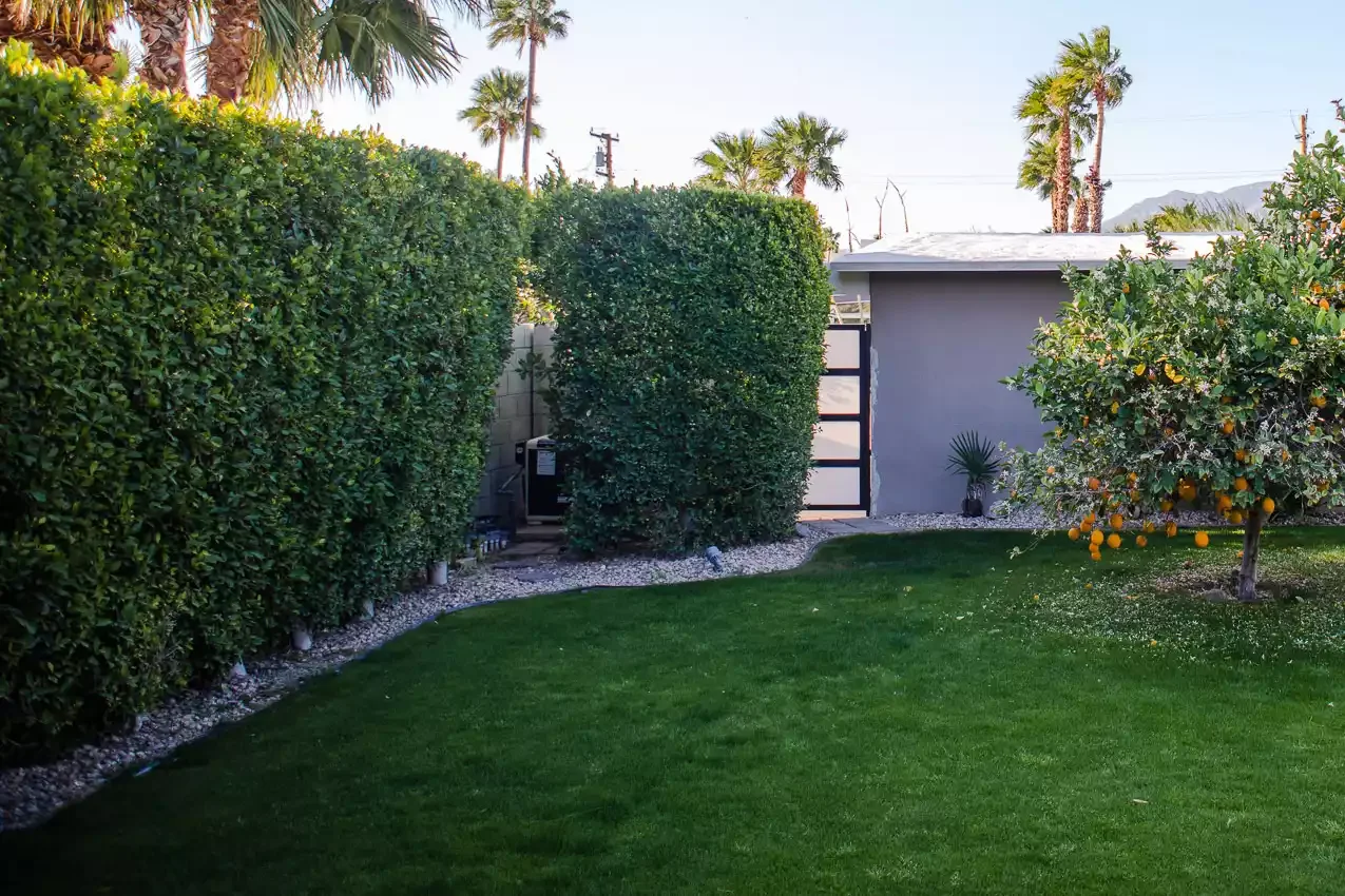 Hidden Privacy Fence Wall