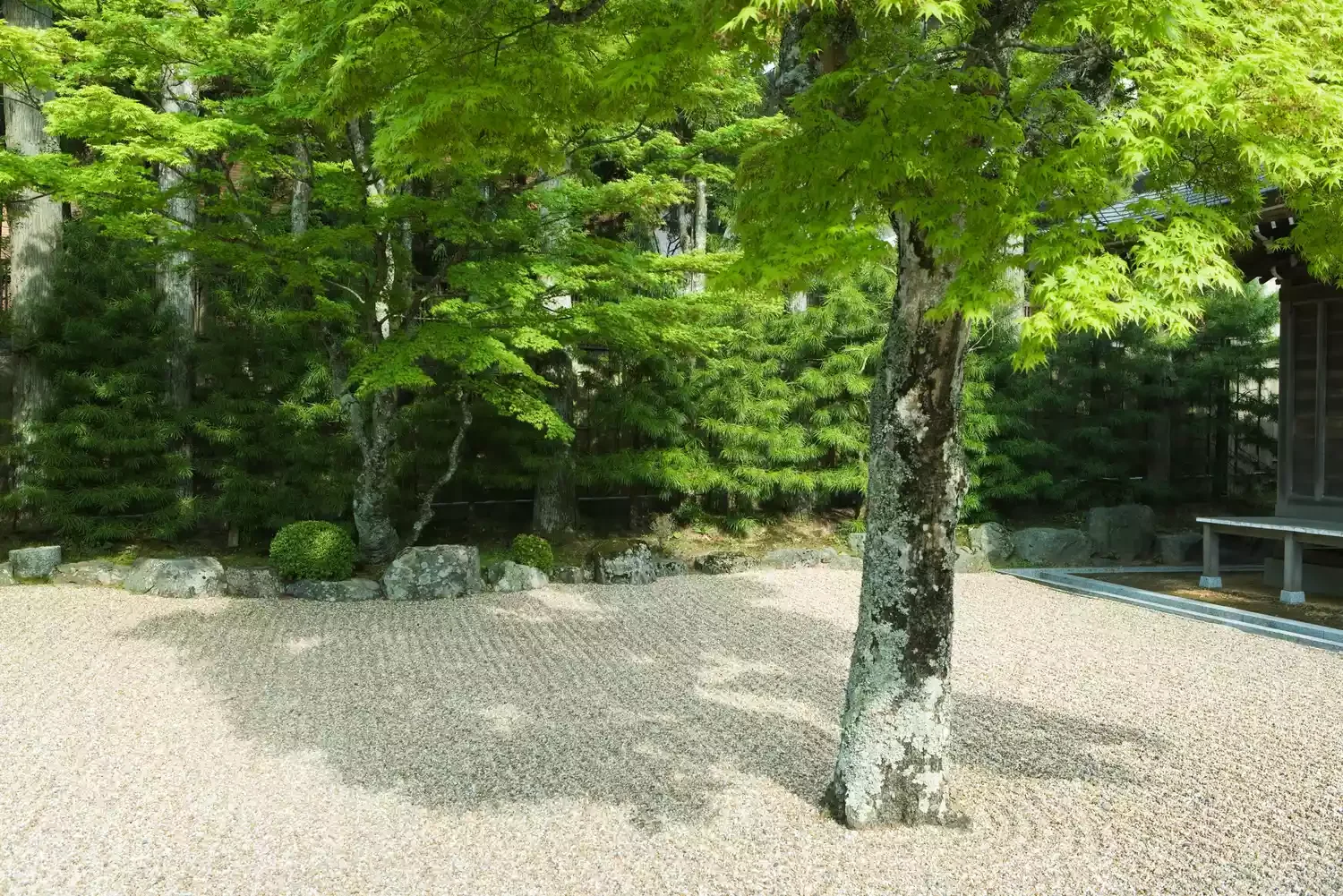 Incorporate Raked Sand