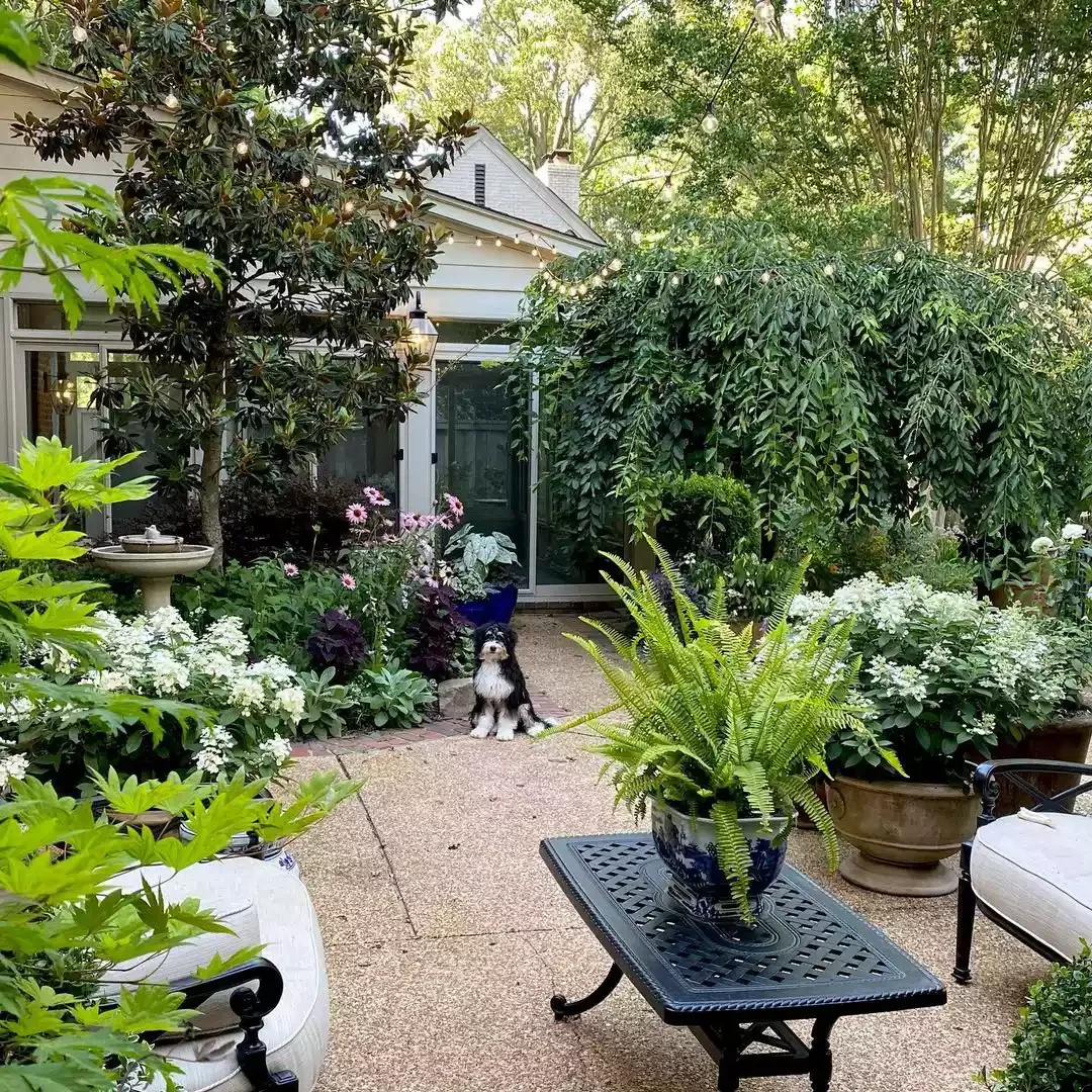 Install Large Container Plants