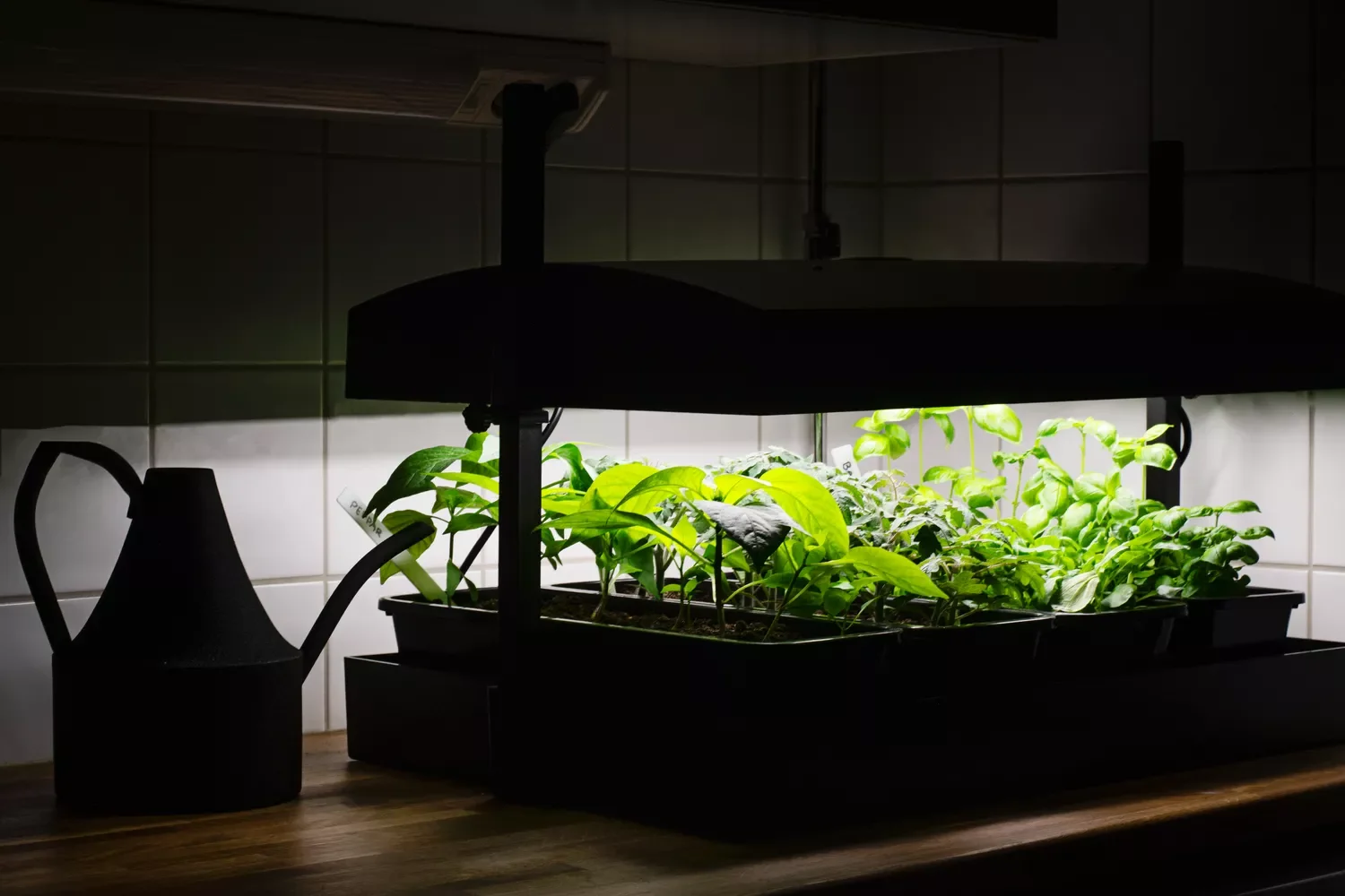 Install a Grow Light