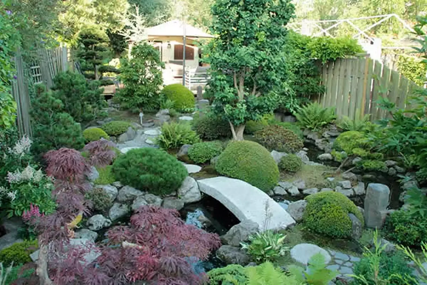 Japanese-Influenced Garden