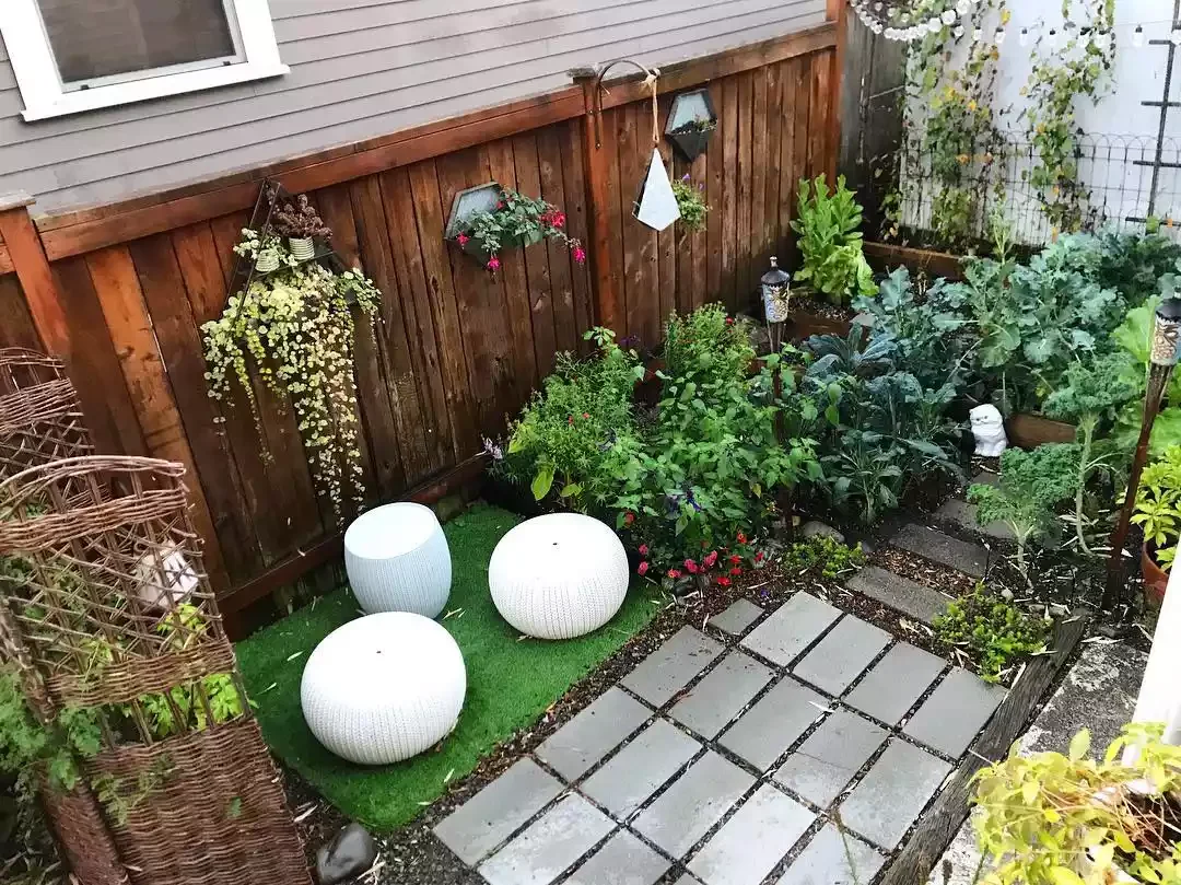 Lay a Turf Patch