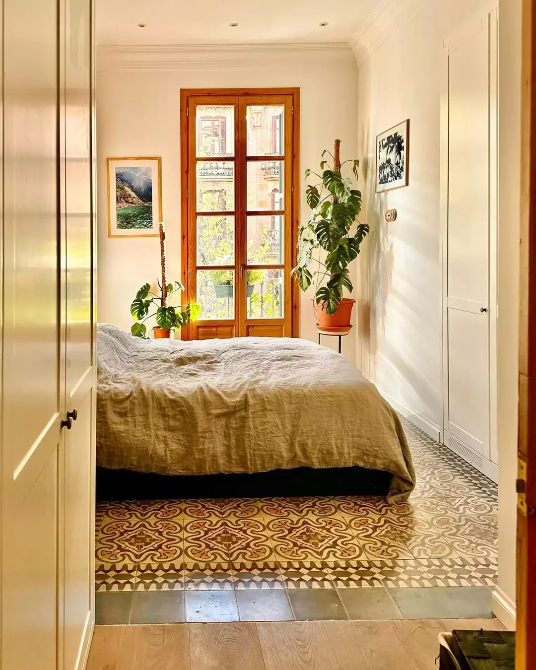 Level Up Your Houseplants