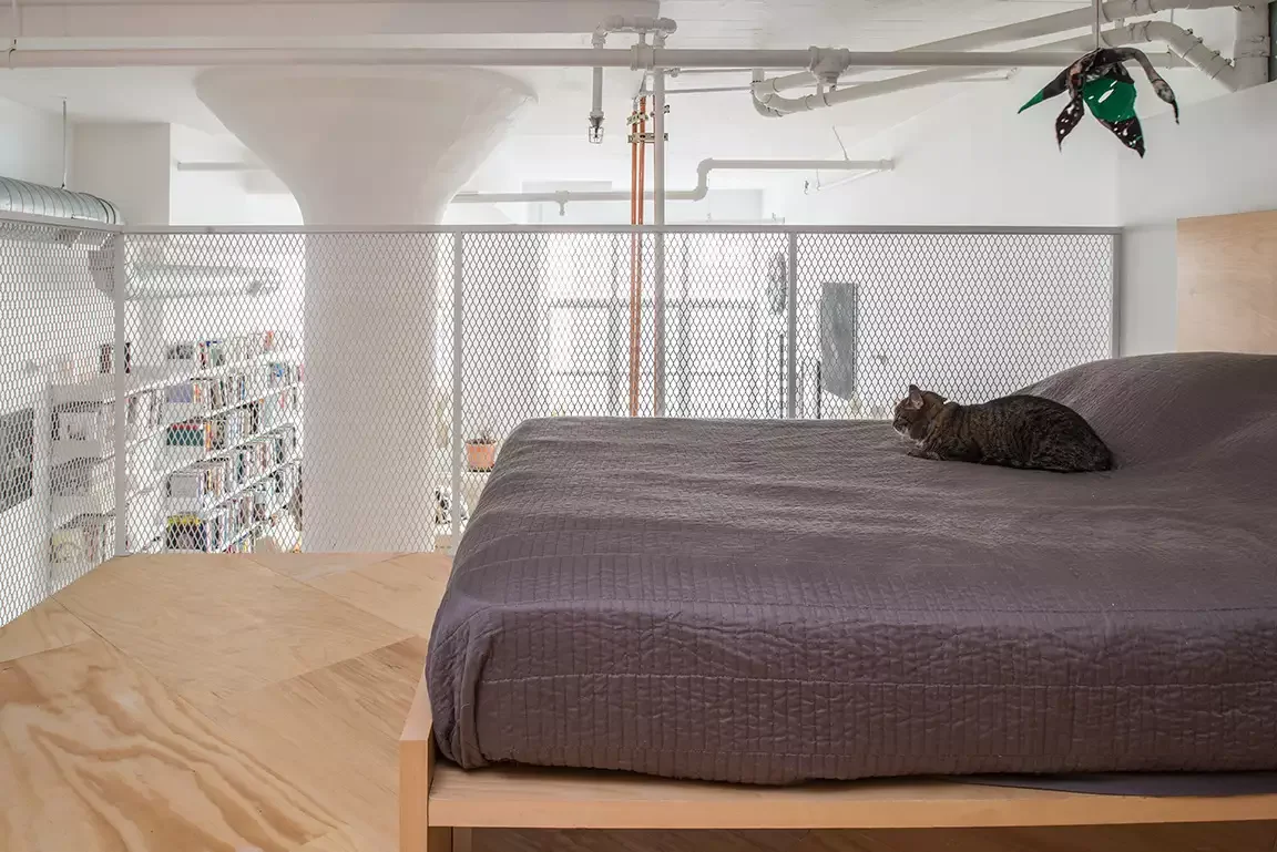 Loft Bed With a View
